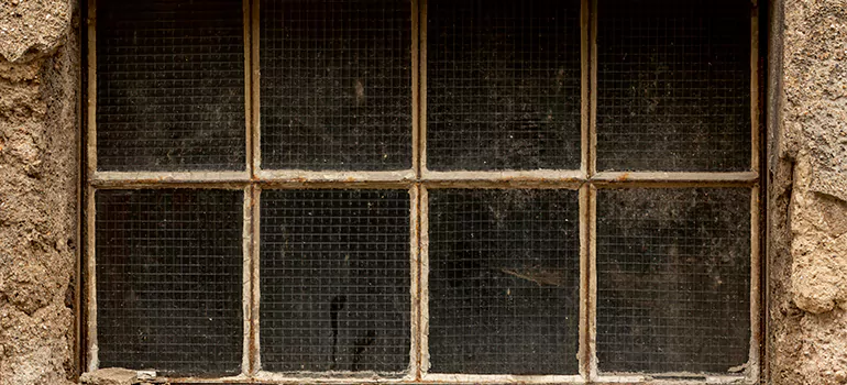 Traditional Double Front Doors in Royal Palm Beach, FL