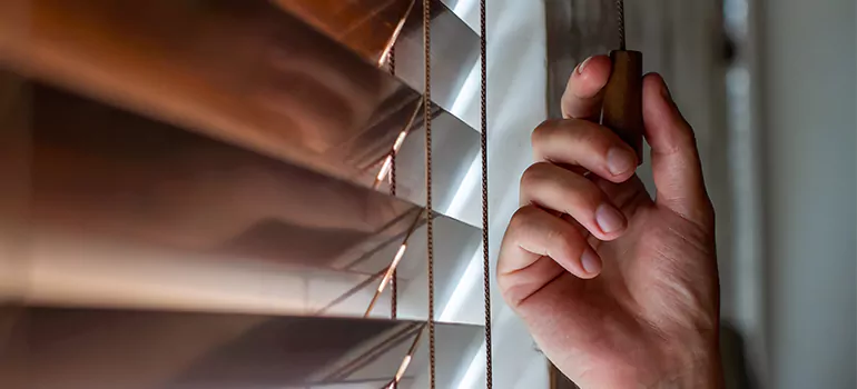 Double Roller Blinds in Royal Palm Beach, FL