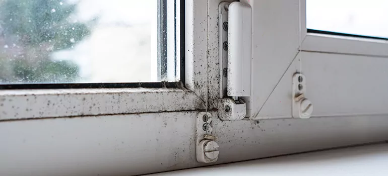 Royal Palm Beach, FL