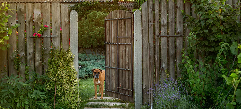 Winter Garden Garage Door Repair in Royal Palm Beach,[location field=state]