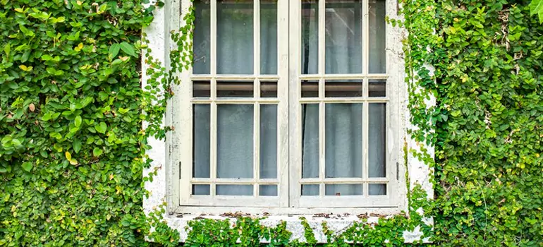 Garden Window Repair Near Me in Royal Palm Beach, FL