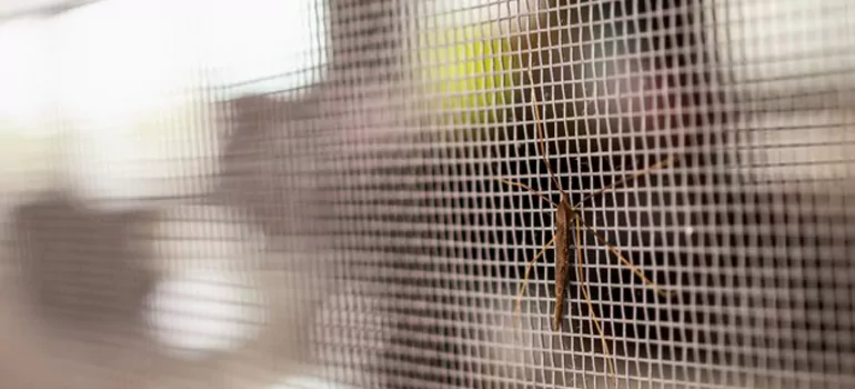 Repair Mosquito Mesh For Windows in Royal Palm Beach, FL