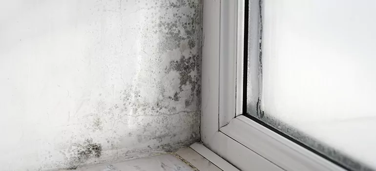 Royal Palm Beach, FL