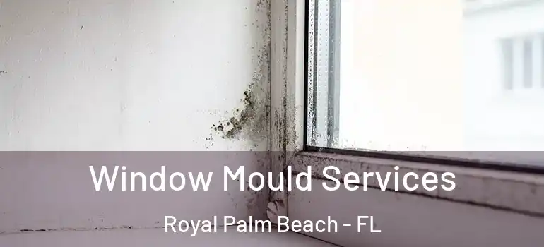 Window Mould Services Royal Palm Beach - FL